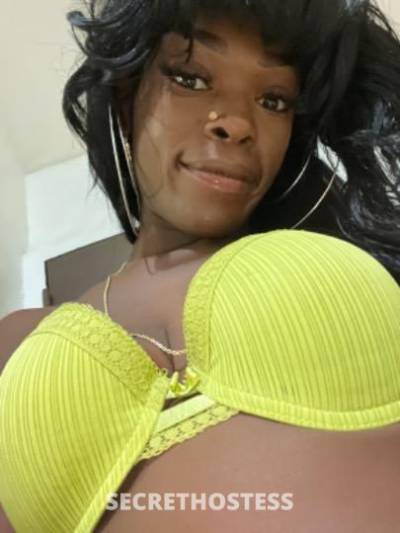 24Yrs Old Escort Brooklyn NY Image - 4