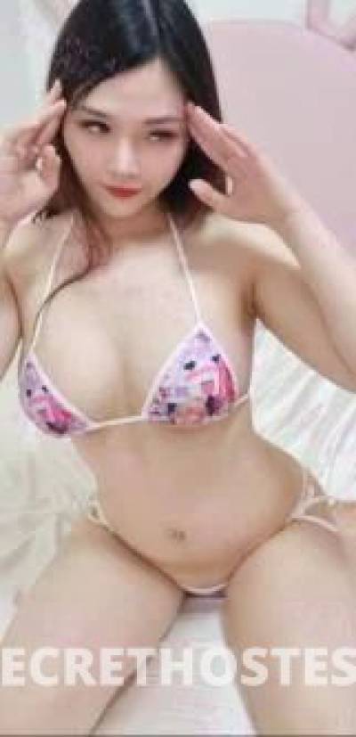 26Yrs Old Escort Coffs Harbour Image - 4