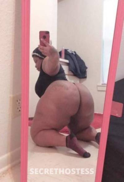 28Yrs Old Escort Chicago IL Image - 3