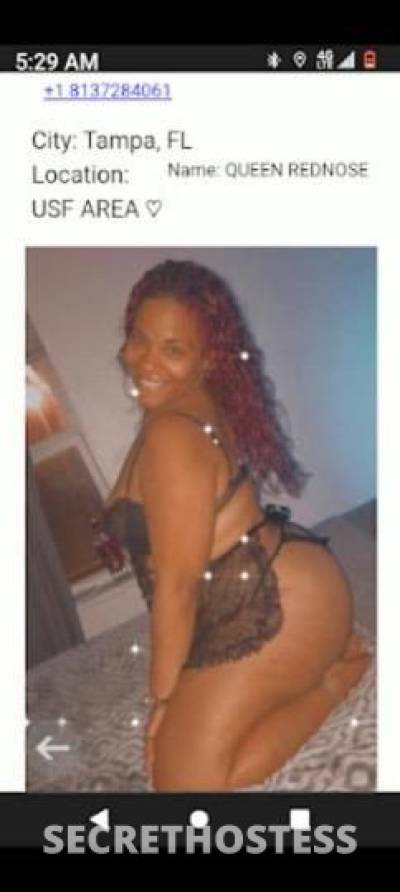 29Yrs Old Escort Tampa FL Image - 1