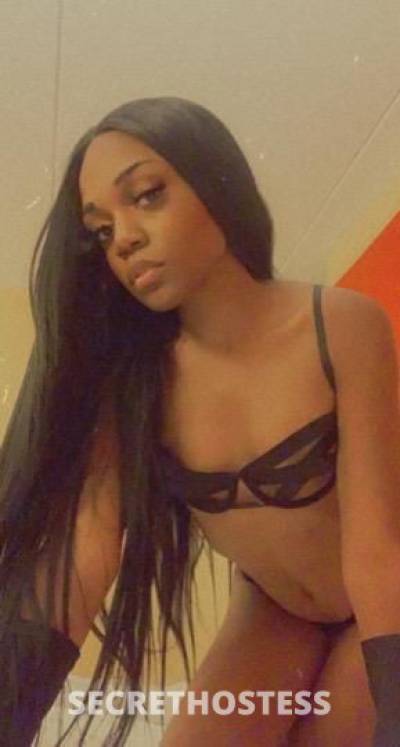 Tiana 21Yrs Old Escort New Orleans LA Image - 1