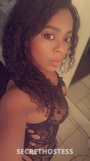 28Yrs Old Escort Fort Lauderdale FL Image - 1