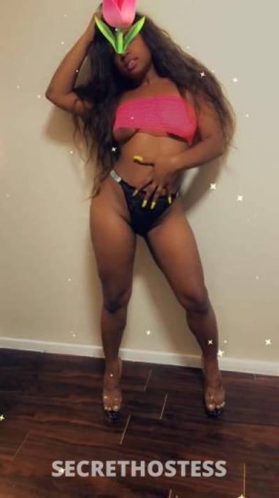 21Yrs Old Escort Houston TX Image - 0