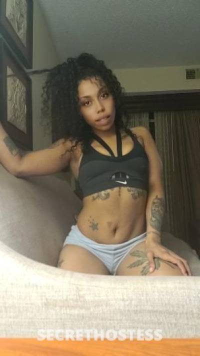 22Yrs Old Escort Dallas TX Image - 4