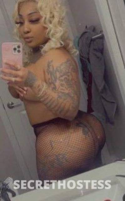 27Yrs Old Escort 160CM Tall Delaware DE Image - 2