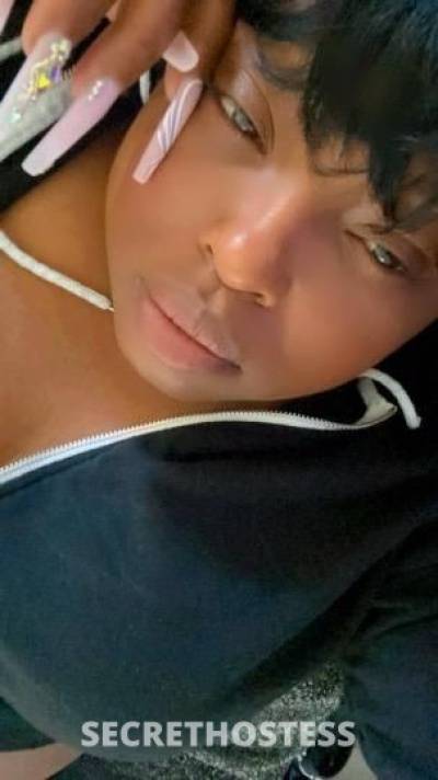 27 year old Escort in Los Angeles CA 27Yrs Old Escort Los Angeles CA