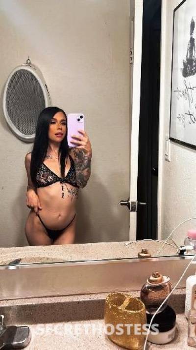 27Yrs Old Escort North Bay CA Image - 2