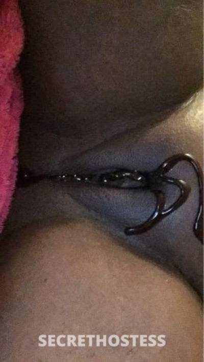 28Yrs Old Escort Cincinnati OH Image - 3