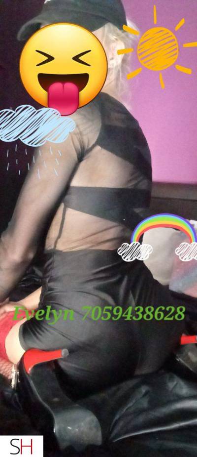28Yrs Old Escort 167CM Tall Sault Ste Marie Image - 5
