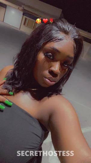 21Yrs Old Escort Norfolk VA Image - 2