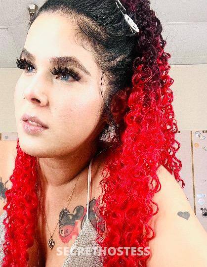 23Yrs Old Escort Tampa FL Image - 2