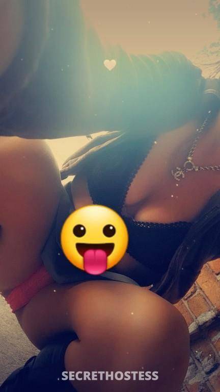 29Yrs Old Escort Maitland Image - 5