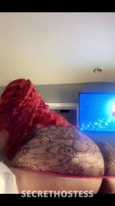 21Yrs Old Escort Los Angeles CA Image - 1