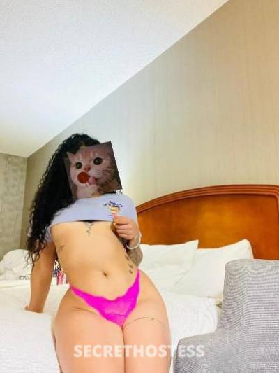 22Yrs Old Escort San Jose CA Image - 0