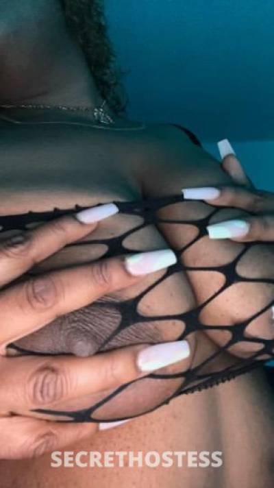 23 year old Dominican Escort in San Diego CA Dominican Beauty BBW