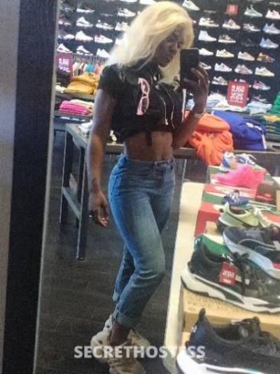 23Yrs Old Escort Detroit MI Image - 0