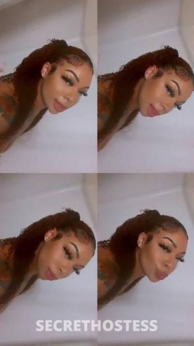 23Yrs Old Escort North Bay CA Image - 0