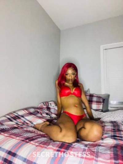 24Yrs Old Escort San Luis Obispo CA Image - 1