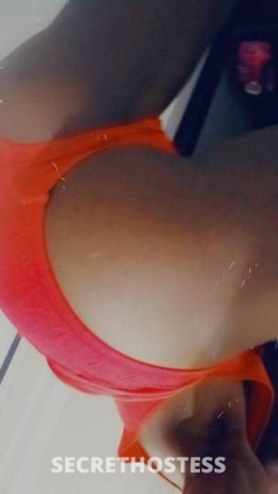 26Yrs Old Escort Fort Lauderdale FL Image - 1