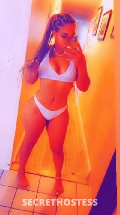 26Yrs Old Escort Fort Lauderdale FL Image - 0