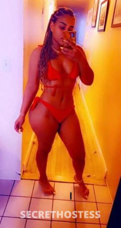 26Yrs Old Escort Fort Lauderdale FL Image - 1