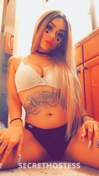 26Yrs Old Escort Phoenix AZ Image - 1