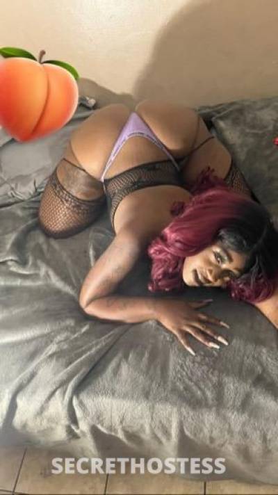 28Yrs Old Escort Fort Lauderdale FL Image - 2