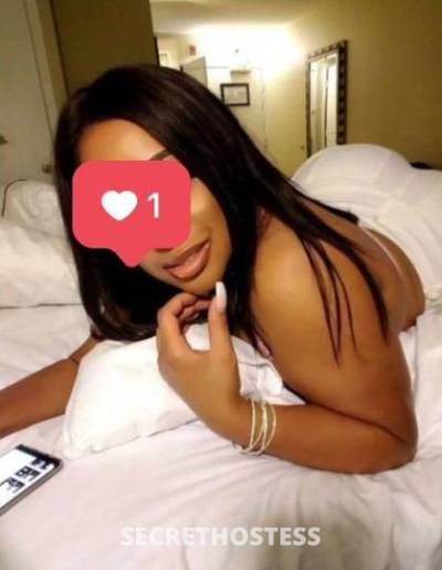 29Yrs Old Escort North Bay CA Image - 3