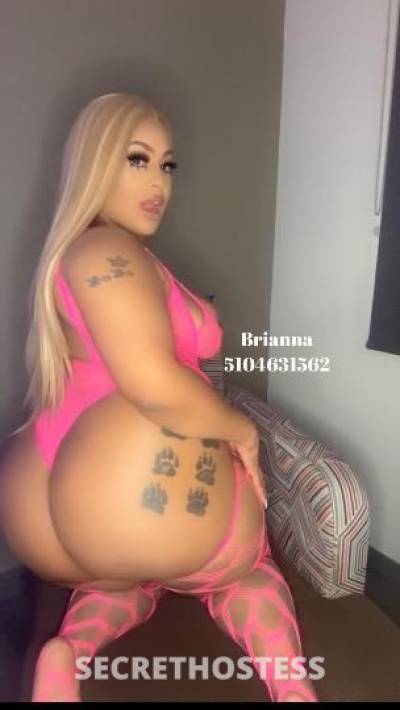 Brianna 28Yrs Old Escort Concord CA Image - 3