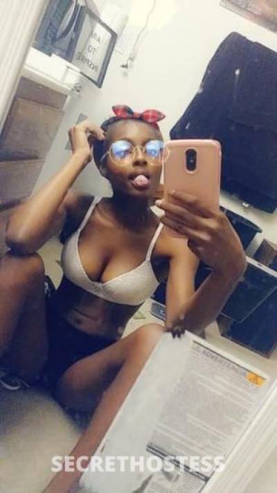 23 year old Escort in Tucson AZ Got that wet ass pussy