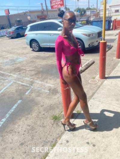 Taz 26Yrs Old Escort Long Beach CA Image - 0