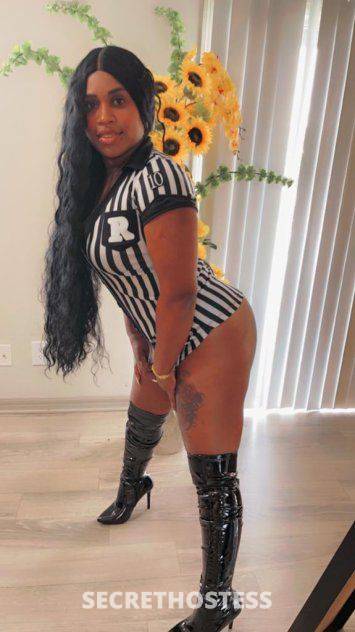 23Yrs Old Escort 165CM Tall Tampa FL Image - 0