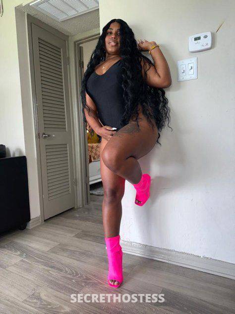 23Yrs Old Escort 165CM Tall Tampa FL Image - 5