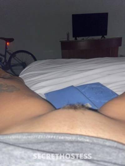 27Yrs Old Escort Tampa FL Image - 2