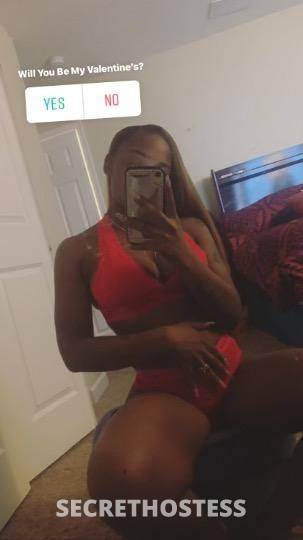 24Yrs Old Escort Detroit MI Image - 1