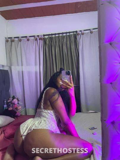 27Yrs Old Escort Fort Lauderdale FL Image - 0