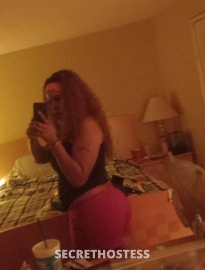 32Yrs Old Escort Tampa FL Image - 2