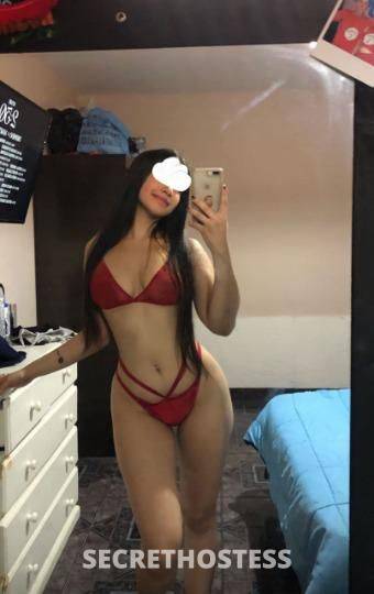 Latina 26Yrs Old Escort Tampa FL Image - 1