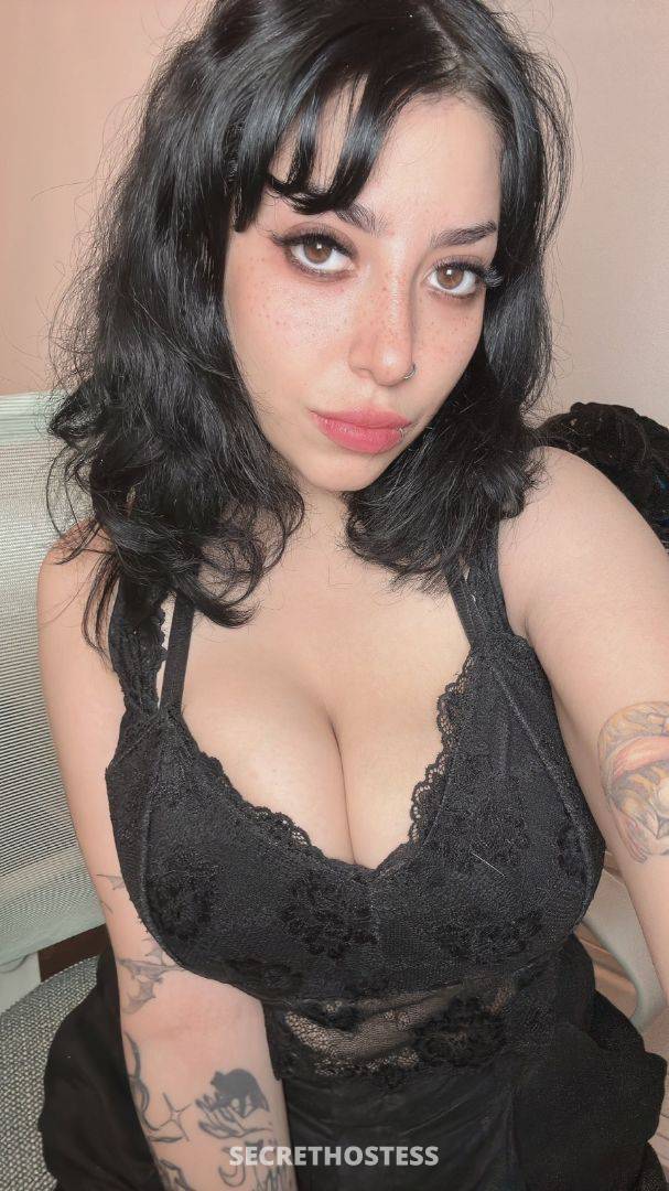 Michelle 26Yrs Old Escort Cape Cod MA Image - 0
