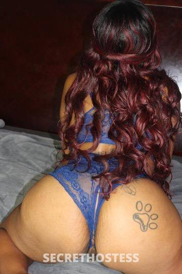 Nikki 23Yrs Old Escort 160CM Tall Sacramento CA Image - 3