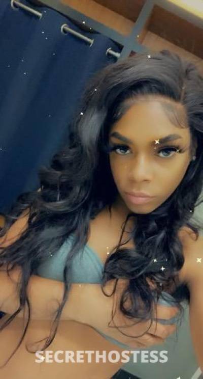 21Yrs Old Escort Bronx NY Image - 1