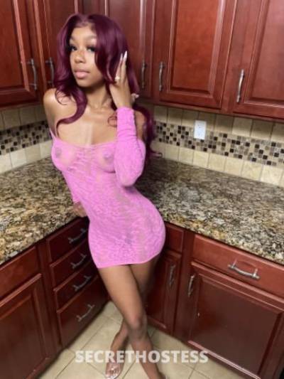 21 year old Escort in San Diego CA New in town throat goddess