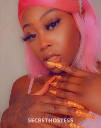 24Yrs Old Escort Denver CO Image - 0