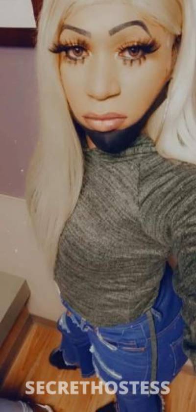 26Yrs Old Escort Morgantown WV Image - 2