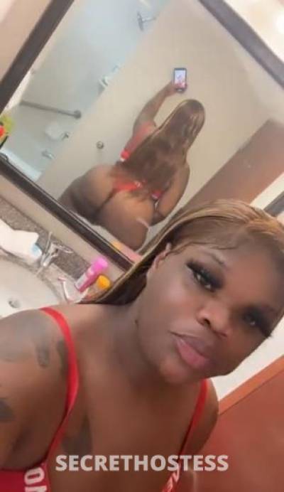28Yrs Old Escort Columbia SC Image - 2