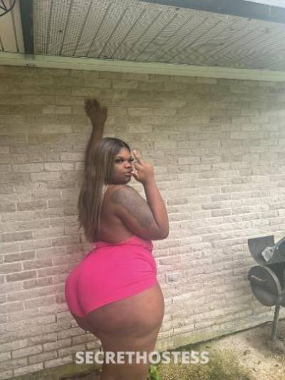 28Yrs Old Escort Columbia SC Image - 4