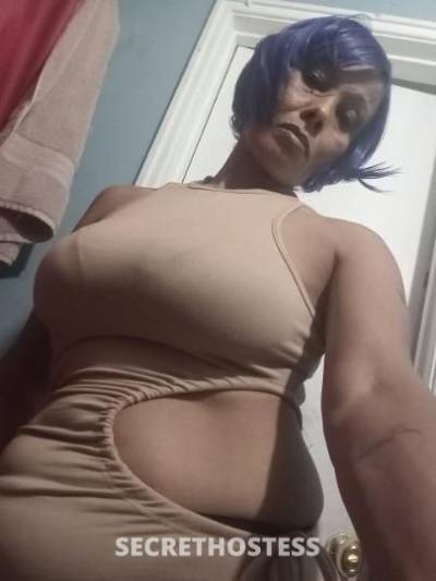 32Yrs Old Escort San Diego CA Image - 2