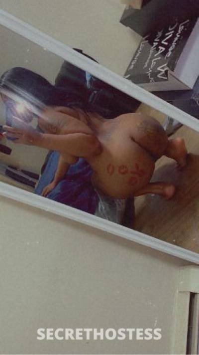 33Yrs Old Escort Sarasota FL Image - 2