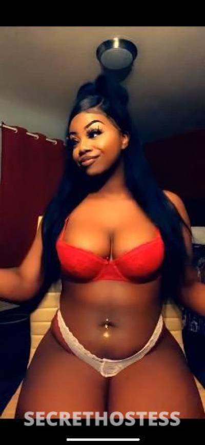 Chocolatec 26Yrs Old Escort Concord CA Image - 1