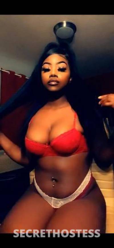 Chocolatec 26Yrs Old Escort Concord CA Image - 3